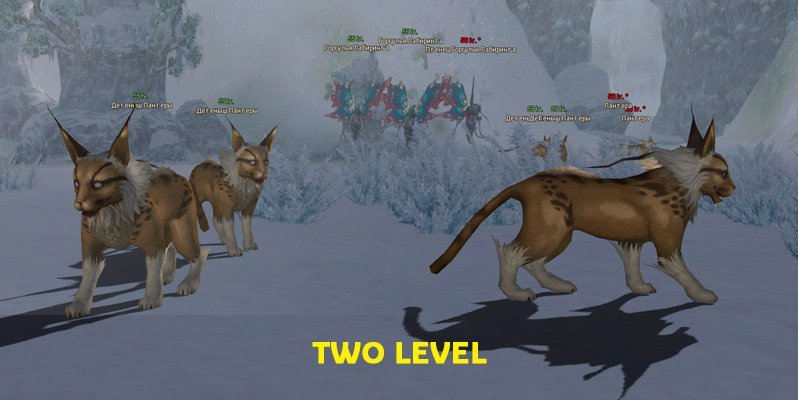 2lvl_2.jpg